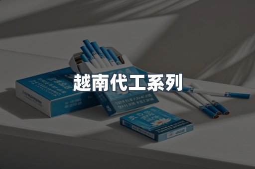 越南代工系列